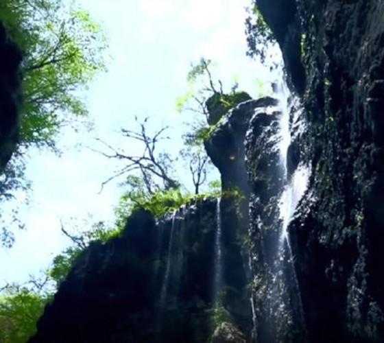 青山綠水，白龍江畔江畔息白鷺，兩岸綠橄欖入眼的都是純樸自然枝上花開(kāi)，春來(lái)水暖魚(yú)蝦戲水，鳥(niǎo)語(yǔ)花香心中充滿(mǎn)著舒暢之感祥宇生態(tài)產(chǎn)業(yè)園，位于隴南市武..